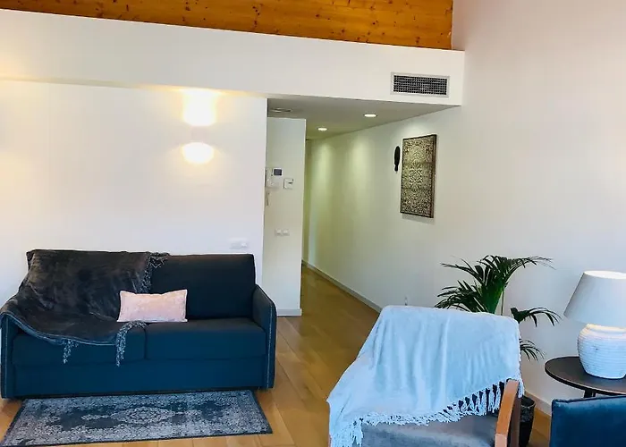 Apg Carrer Nou Atic Appartement *