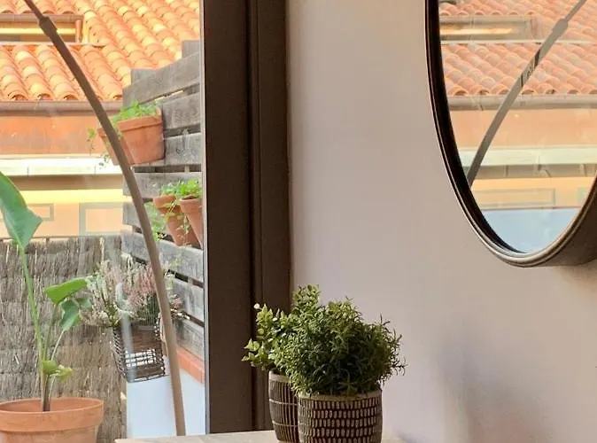 Apg Carrer Nou Atic Appartement *